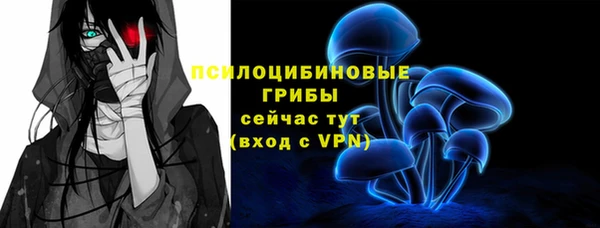 молекула духа Беломорск